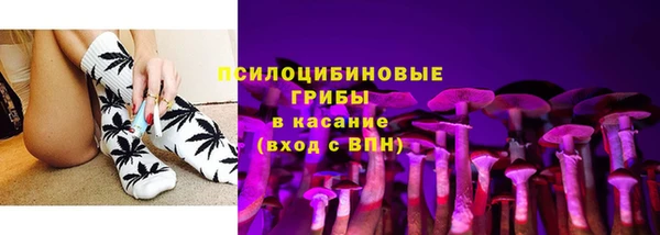 трава Елизово