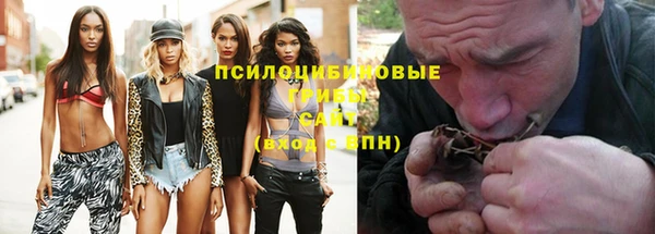 a pvp Дмитров
